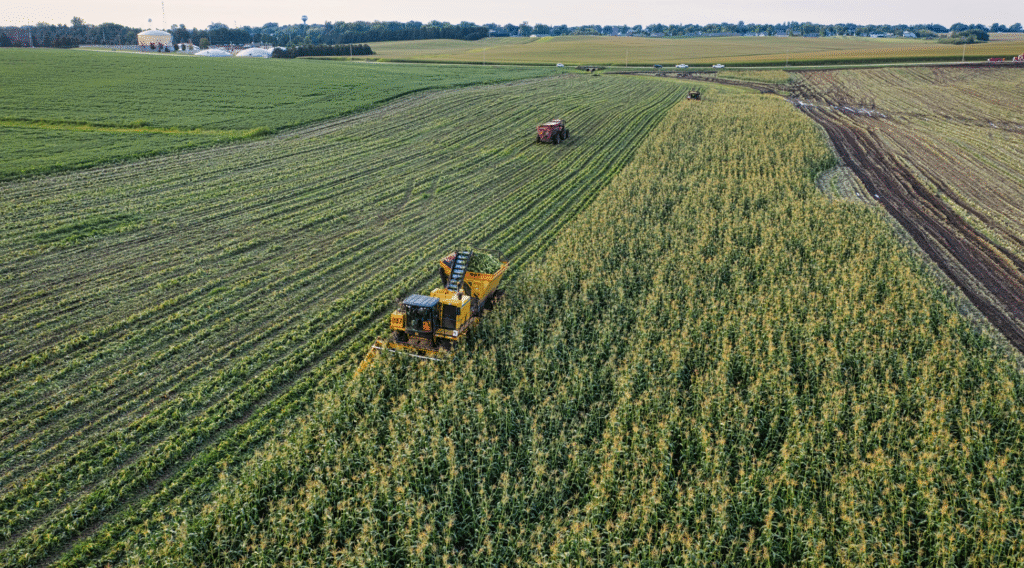 Execução bancária contra produtor rural