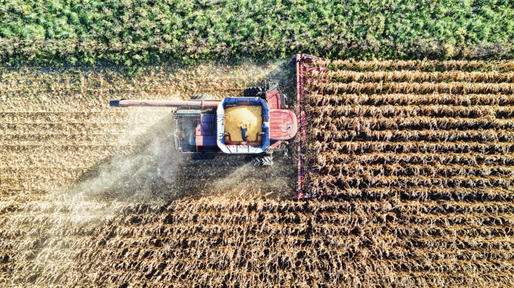 Fazenda dada em garantia ao banco pode ser levada a leilão?