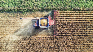 Fazenda dada em garantia ao banco pode ser levada a leilão?