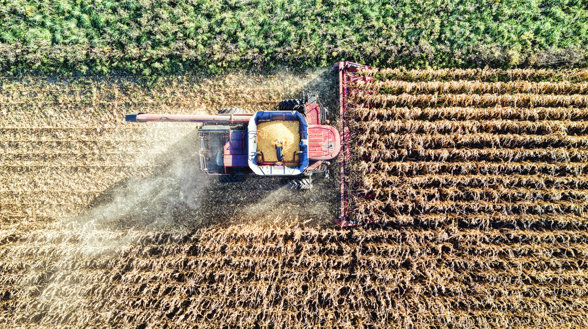 Fazenda dada em garantia ao banco pode ser levada a leilão?