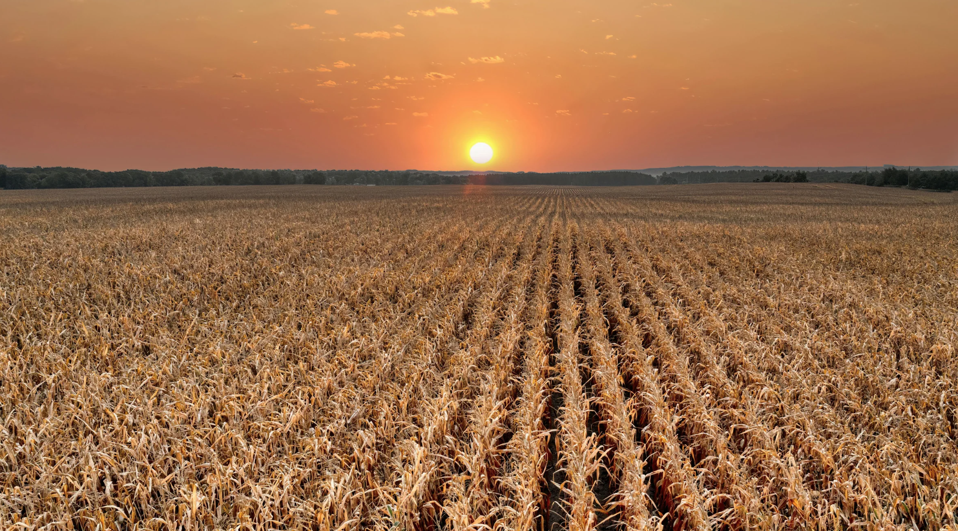 Prorrogação de financiamento rural