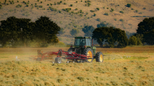 Revisão de contrato de crédito rural: quando é possível reduzir a dívida