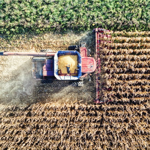 Fazenda dada em garantia ao banco pode ser levada a leilão?
