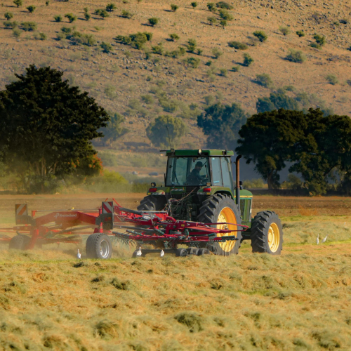 Revisão de contrato de crédito rural: quando é possível reduzir a dívida